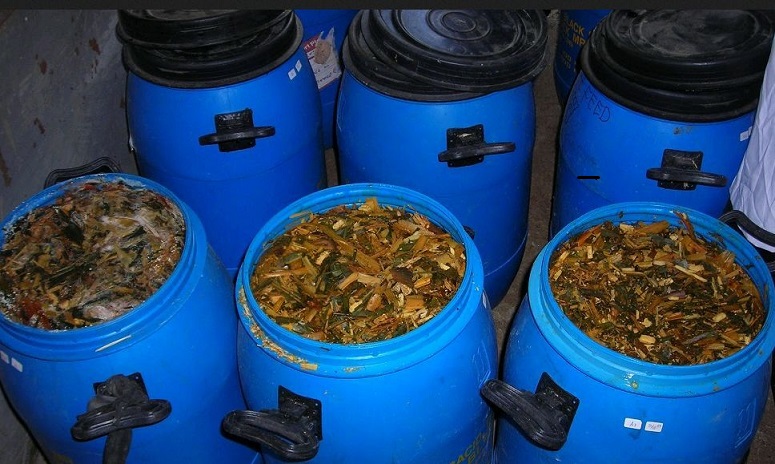 fermentasi pakan kambing em4 membuat bahan mencampur penggemukan semua