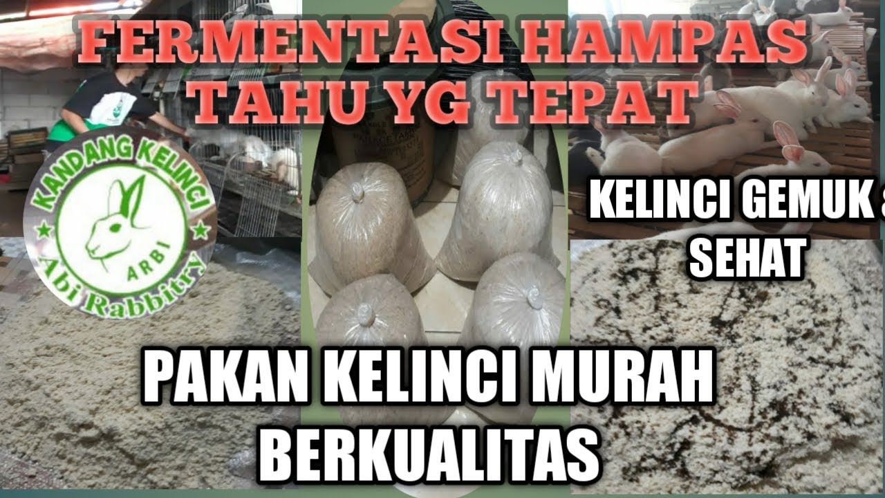 cara fermentasi ampas tahu untuk pakan kelinci